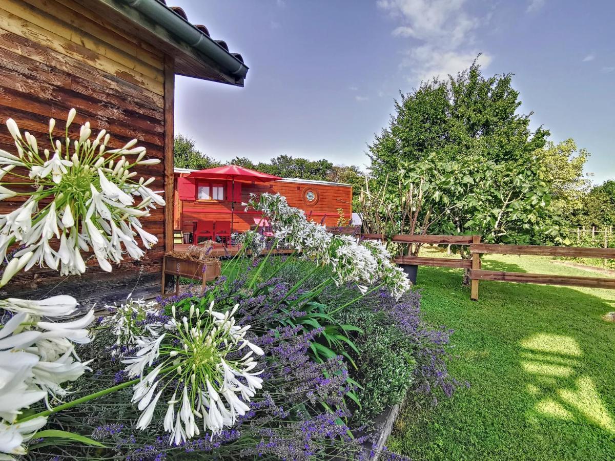 La Roulotte Du Cagire - 4 Pers - Pyrenees Casa de hóspedes Villeneuve-de-Rivière Exterior foto